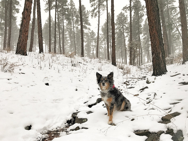 Flagstaff, Arizona