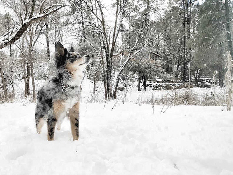 Flagstaff, Arizona