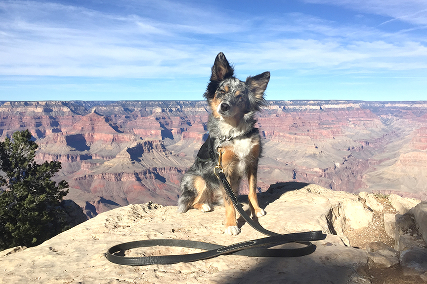 Grand Canyon