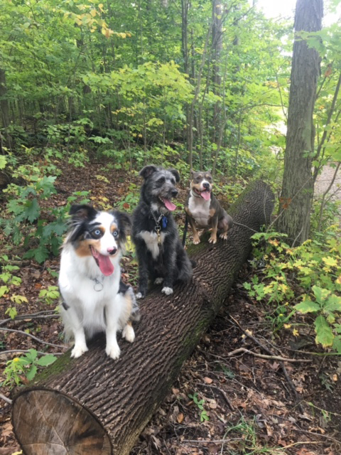 Punderson State Park, Ohio