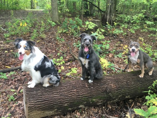 Punderson State Park, Ohio