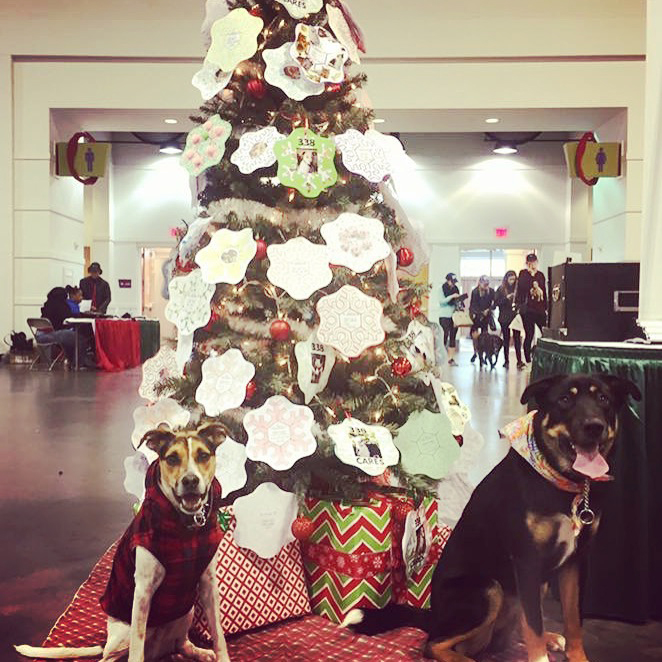 Pet Winter Wonderland, Atlanta - 2016