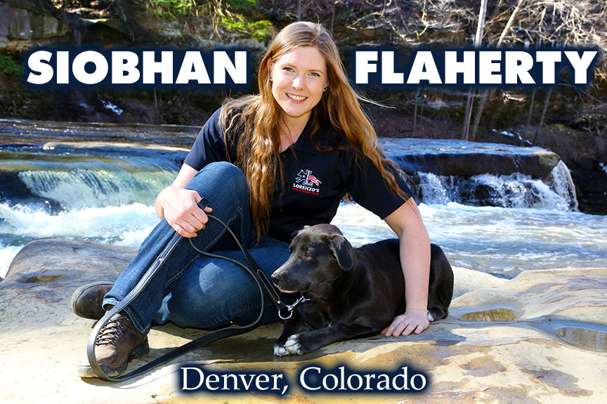 Siobhan Flaherty Professional Dog Trainer