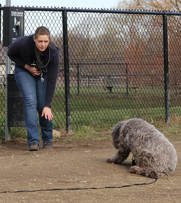 Training Bella