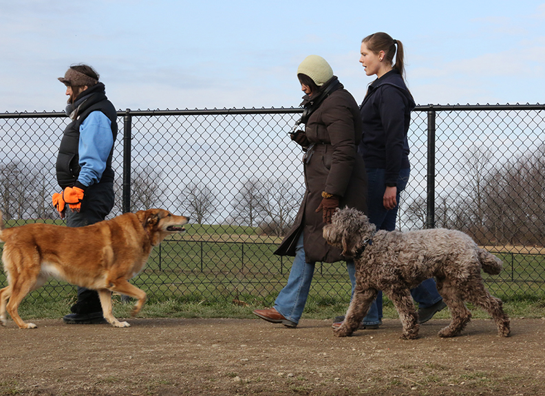 Training Bella