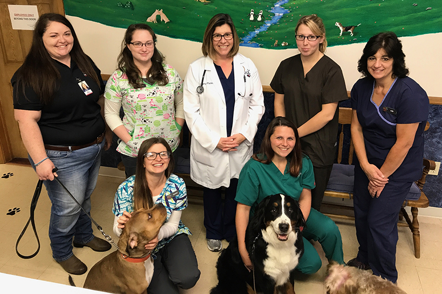 Hamlin Veterinary Clinic