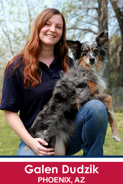 Galen Dudzik Phoenix Dog Trainer